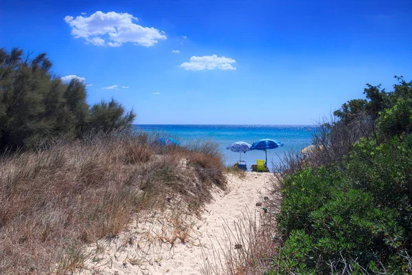 Footpath between sea dunes in Apulia, Italy. Lido Marini beach stretches for more than two kilometres, in the area of the municipalities of Salve and Ugento in Salento.