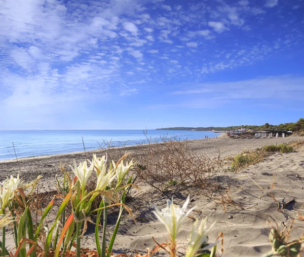 Najpiękniejsze Piaszczyste Plaże Apulii Włoszech Alimini Beach Wybrzeżu Salento — Zdjęcie stockowe