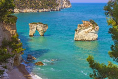 The most beautiful coasts of Italy:Baia dei Mergoli beach (Apulia).The beaches offer a breathtaking view with brigthly white karstic cliffs,emerald-blue sea,lush greenery of olive-trees,pine-woods. clipart