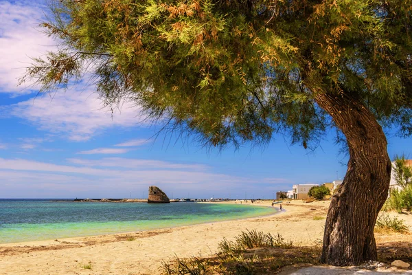 Las playas de arena más bellas de Apulia. Costa de Salento: Playa de Torre Pali (Lecce). ITALIA (Apulia).. Su nombre proviene de la torre de vigilancia del siglo XVI. La costa arenosa baja está caracterizada por dunas cubiertas con matorrales mediterráneos. . — Foto de Stock