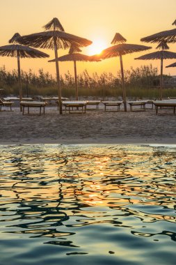 Summer seascape,the most beautiful sandy beaches of Apulia.Torre Guaceto: umbrellas at sunset.  It is Marine Protect Area. Mediterranean maquis: a nature sanctuary between the land and the sea.ITALY (Brindisi).