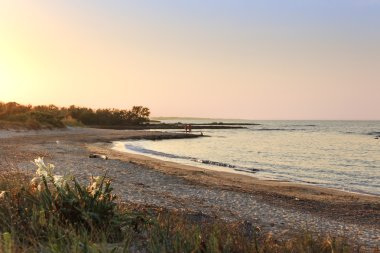 Yaz deniz manzarası: Apulia en güzel kumlu plajları. Torre Guaceto bir doğa rezerv. Akdeniz maki: kara ve deniz arasında bir doğa kutsal. İtalya (Brindisi).