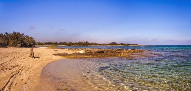 Summer seascape: a nature reserve of Torre Guaceto.BRINDISI (Apulia)-ITALY-Mediterranean maquis: a nature sanctuary between the land and the sea. clipart