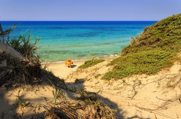 Seascape lato: rezerwat przyrody Torre Guaceto.Brindisi (Apulia) - Włochy - śródziemnomorską: sanktuarium przyrody między ziemia i morze. — Zdjęcie stockowe