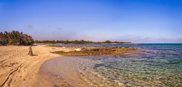 Summer seascape: a nature reserve of Torre Guaceto.BRINDISI (Apulia)-ITALY-Mediterranean maquis: a nature sanctuary between the land and the sea. — Stock Photo, Image