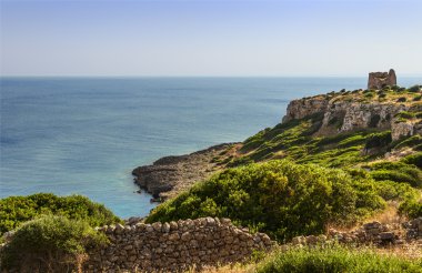 Apulia Landscape.Natural Porto Selvaggio Park: Uluzzo gözetleme kulesi. (: Salento) İtalya.