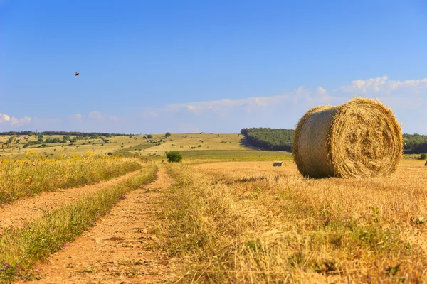 Πάρκο ΕΘΝΙΚΗ Murgia Summer.Alta: δεμάτια του σανού. -Ιταλία (Απουλία) — Φωτογραφία Αρχείου