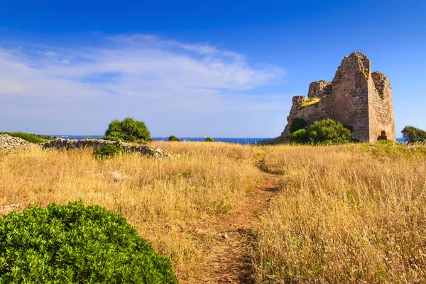 APULIA LANDSCAPE. Natural Park of Porto Selvaggio (Nardo'): Uluzzo watchtower.(Salento) Italy.Salento is dotted with watchtowers as always it has been the subject of invasions and saks by the Turks. — Stok fotoğraf