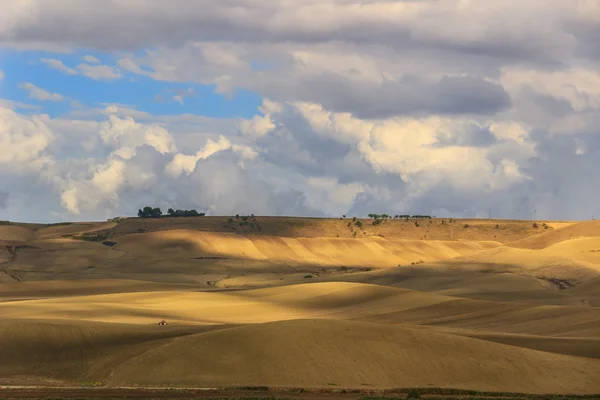 Zomer: rurale landschap. Tussen Puglia en Basilicata: heuvels met graanvelden en boerderijen. Italië — Stockfoto