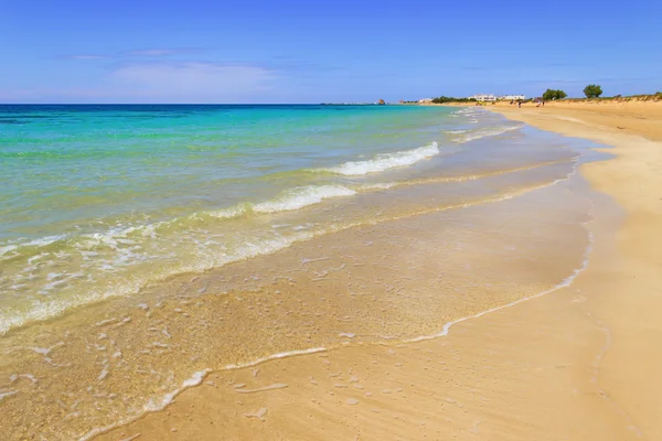 Las playas de arena más bellas de Apulia. Costa de Salento: Playa de Torre Pali (Lecce). ITALIA (Apulia).. Su nombre proviene de la atalaya del siglo XVI. La costa arenosa baja está caracterizada por dunas cubiertas con matorral mediterráneo . — Foto de Stock
