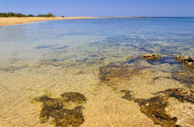 Yaz Landscape.Ionian Sahili, Salento:Porto Cesareo:Nature rezerv Isola Grande (Lecce).-İtalya (Apulia)