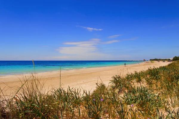 Apulia legszebb homokos strandjai. OLASZORSZÁG (SALENTO) .Torre Palitól Pescoluse-ig a partot olyan finom fehér homok borítja, és olyan tiszta tenger árasztja el, hogy "Salentói Maldive" -nak hívják.. — Stock Fotó