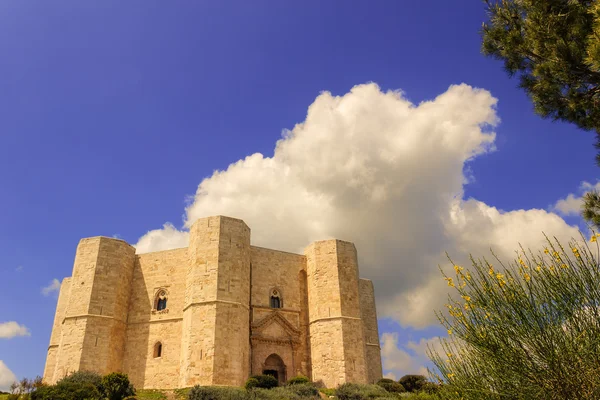 Kamienie Apulia.Castel del Monte: główne fasady.-Włochy (Andria)- — Zdjęcie stockowe