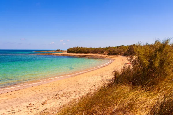 Paisaje marino de verano: una reserva natural de Torre Guaceto.BRINDISI (Apulia) -ITALIA-Maquis mediterráneos: un santuario natural entre la tierra y el mar . — Foto de Stock