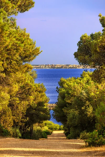 Kust van Salento. Bay Portoselvaggio: natuurparcours. (Lecce.) -Italië (Puglia) - — Stockfoto