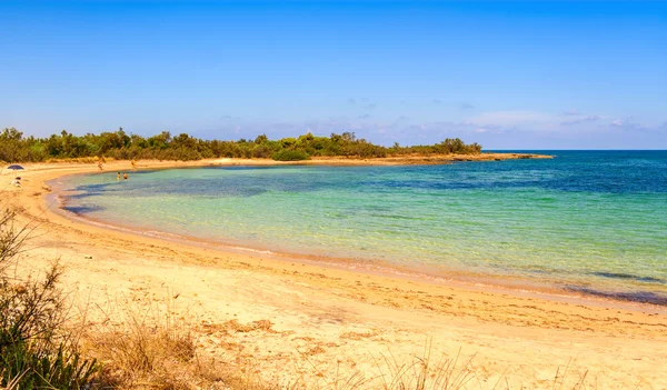 Summer.Salento kust: natuurreservaat van Torre Guaceto.Brindisi (Apulië) - Italië - Summer.Salento kust: een natuurreservaat van Torre Guaceto.Brindisi (Apulië) - Italië - een heiligdom van de natuur tussen het land en de zee. — Stockfoto