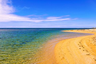 Akdeniz maki. : Salento sahil: Lido Marini beach (Lecce). İtalya (Apulia).