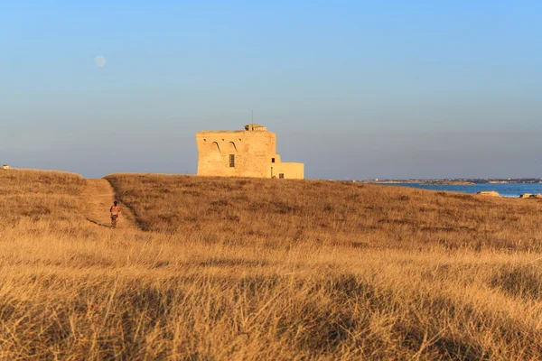 Nyári táj: egy természetvédelmi terület, a Torre Guaceto.Brindisi (Puglia) - Olaszország - mediterrán bozótos: a természet szentély, a föld és a tenger között. — Stock Fotó