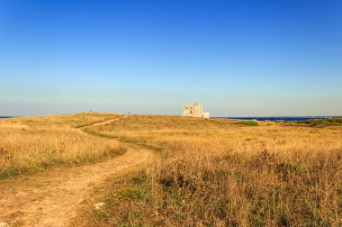 Yaz manzara: Torre Guaceto.Brindisi (Apulia) - İtalya - bir doğa rezerv watchtower yarışı. Akdeniz maki: Kara ve deniz arasında bir doğa kutsal.