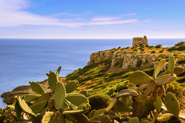 APULIA LANDSCAPE.Природный парк Порто Сельваджо: сторожевая башня Улуццо. (Salento) Italy
.