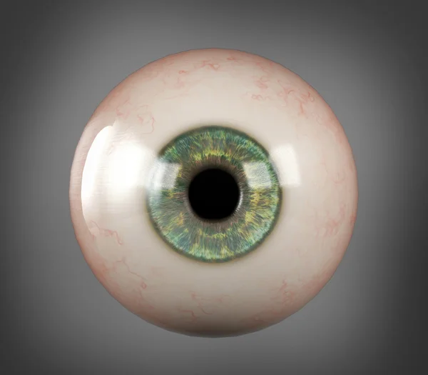 Realistic human eyeball blue iris pupil — Stock Photo, Image