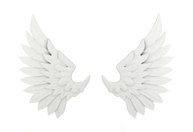 Beyaz kanat izole