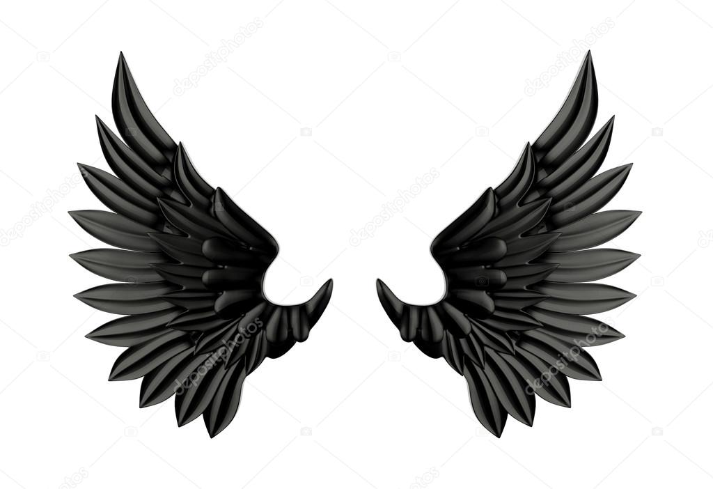 Black wing isolated