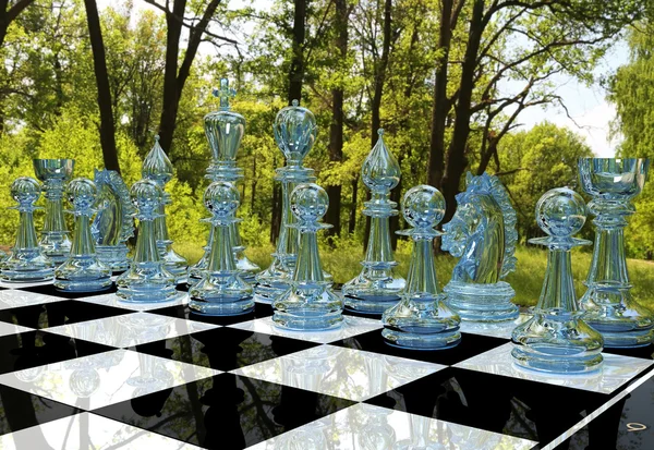 Chess brädspel i skogens trädgård — Stockfoto