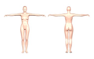 3D kadın bedeninin ön ve arka görünüm 