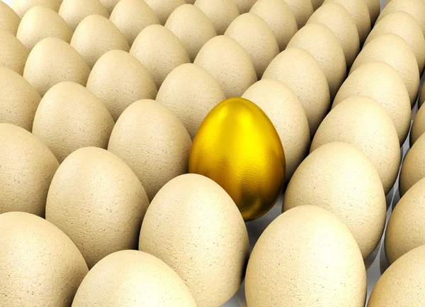 Hodnotné zlaté vejce pro vedení koncepce — Stock fotografie zdarma