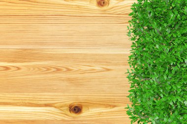 Süs çalı bitki ve kopya alanı ile kaplı ahşap tahta