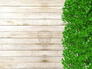 Bitkiler ve kopya alanı, 3d render ile kaplı ahşap çit