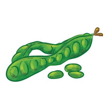 Petai Hand Vektör Resimlerini Çizdi