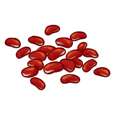 Kırmızı Fasulye El Vektör Resimlerini Çizdi