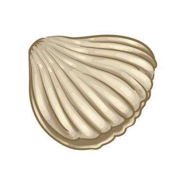 Kabuk El Çizim Vektörü ResmiComment