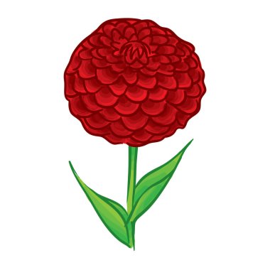 Dahlia Hand Drawn Vector Illustration