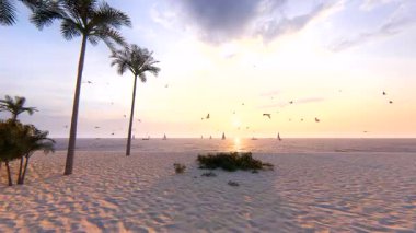 Tropik bir plajda uçan martılar.