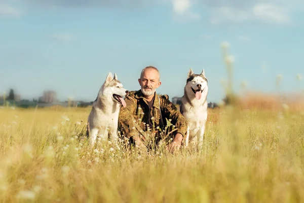 Viejo con barba sentado en un pajar con sus perros, disfrutando del atardecer de verano. Husky siberiano —  Fotos de Stock