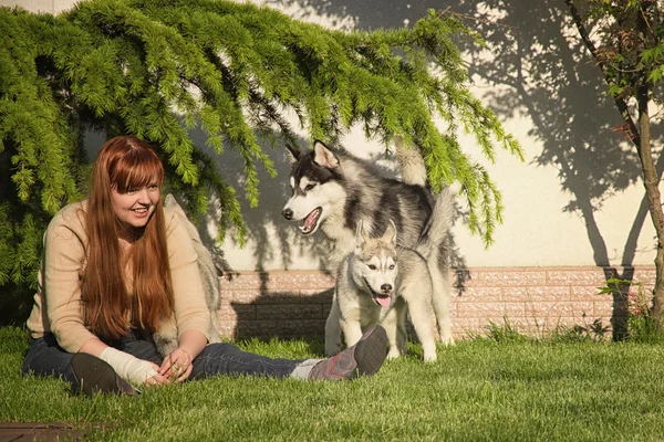 Young woman playing with the dogs. Siberian husky. Puppies. — Stock Photo, Image