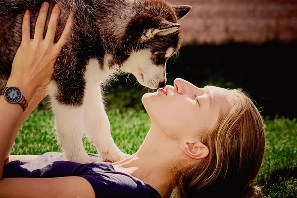 Jovencita jugando con un perro. Cachorro Siberiano Husky.Beautiful mujer con husky al aire libre.Mujer con sonriente perro husky siberiano, sentado en un día soleado, en un paseo con el perro . —  Fotos de Stock