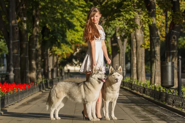 Girl walking down the street with two dogs. A girl in a white dress. Siberian Huskies. — Stock Photo, Image