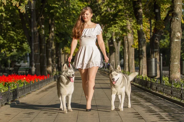 Girl walking down the street with two dogs. A girl in a white dress. Siberian Huskies. — Stock Photo, Image