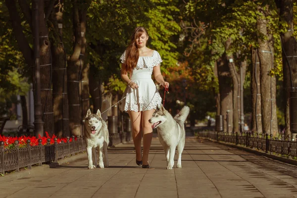 Girl walking down the street with two dogs. A girl in a white dress. Siberian Huskies. — Stock Photo, Image