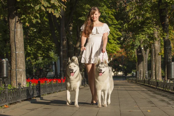 Girl walking down the street with two dogs. A girl in a white dress. Siberian Huskies. — Stock Photo, Image