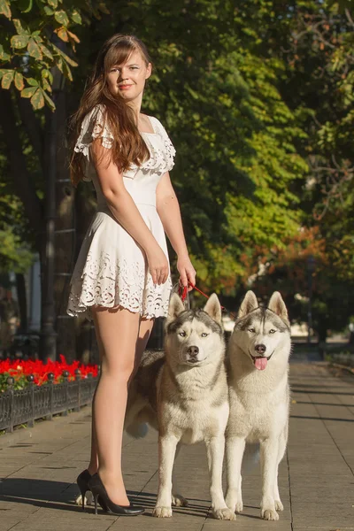 Girl walking down the street with two dogs. A girl in a white dress. Siberian Huskies. — Stock Photo, Image