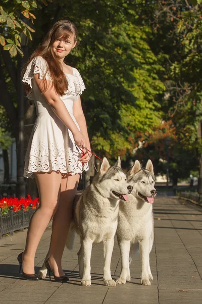 Girl walking down the street with two dogs. A girl in a white dress. Siberian Huskies. — Stock Photo, Image