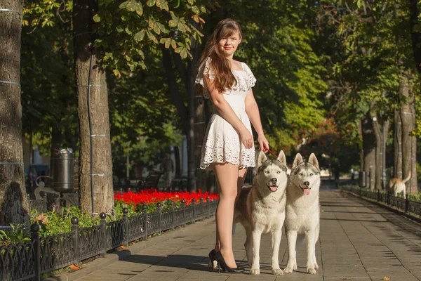 Girl walking down the street with two dogs. A girl in a white dress. Siberian Huskies. — Stock Photo, Image