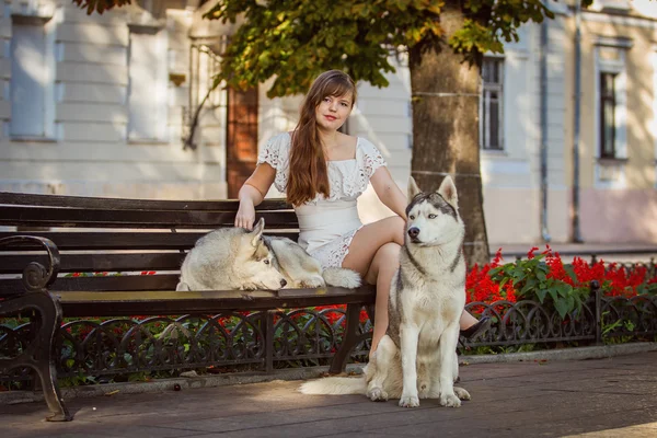iki köpek ile sokakta yürürken kız. Beyaz elbiseli bir kız. Siberian dış yapraklar.