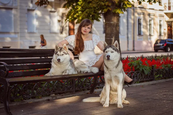 Mädchen, das mit zwei Hunden auf der Straße spazieren geht. ein Mädchen in einem weißen Kleid. Sibirische Huskies. — Stockfoto