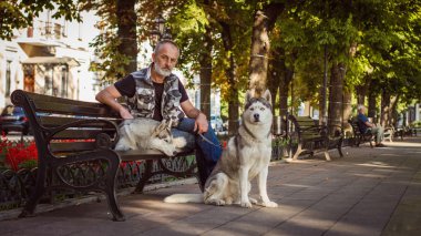 Bir bankta oturan ihtiyar. Sakallı adam. Köpek yürüyüş. Köpek efendisinin otur. Siberian dış yapraklar.